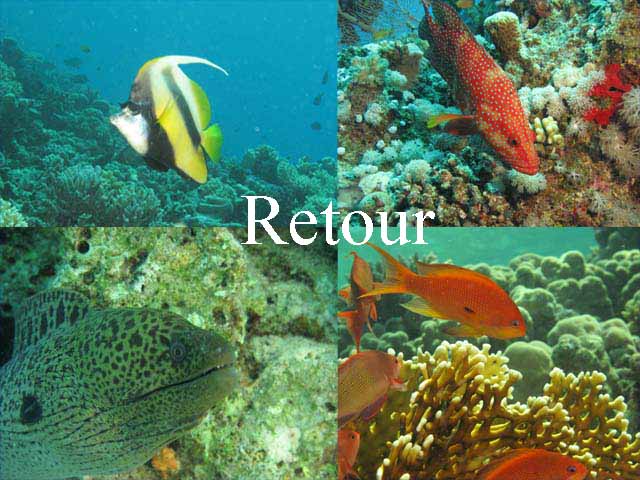 Retour